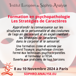 Formation - "Les Stratégies de Caractères" - Juin 2026