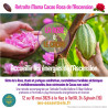 RETRAITE ASCENSION MAMA CACAO ROSA 2026